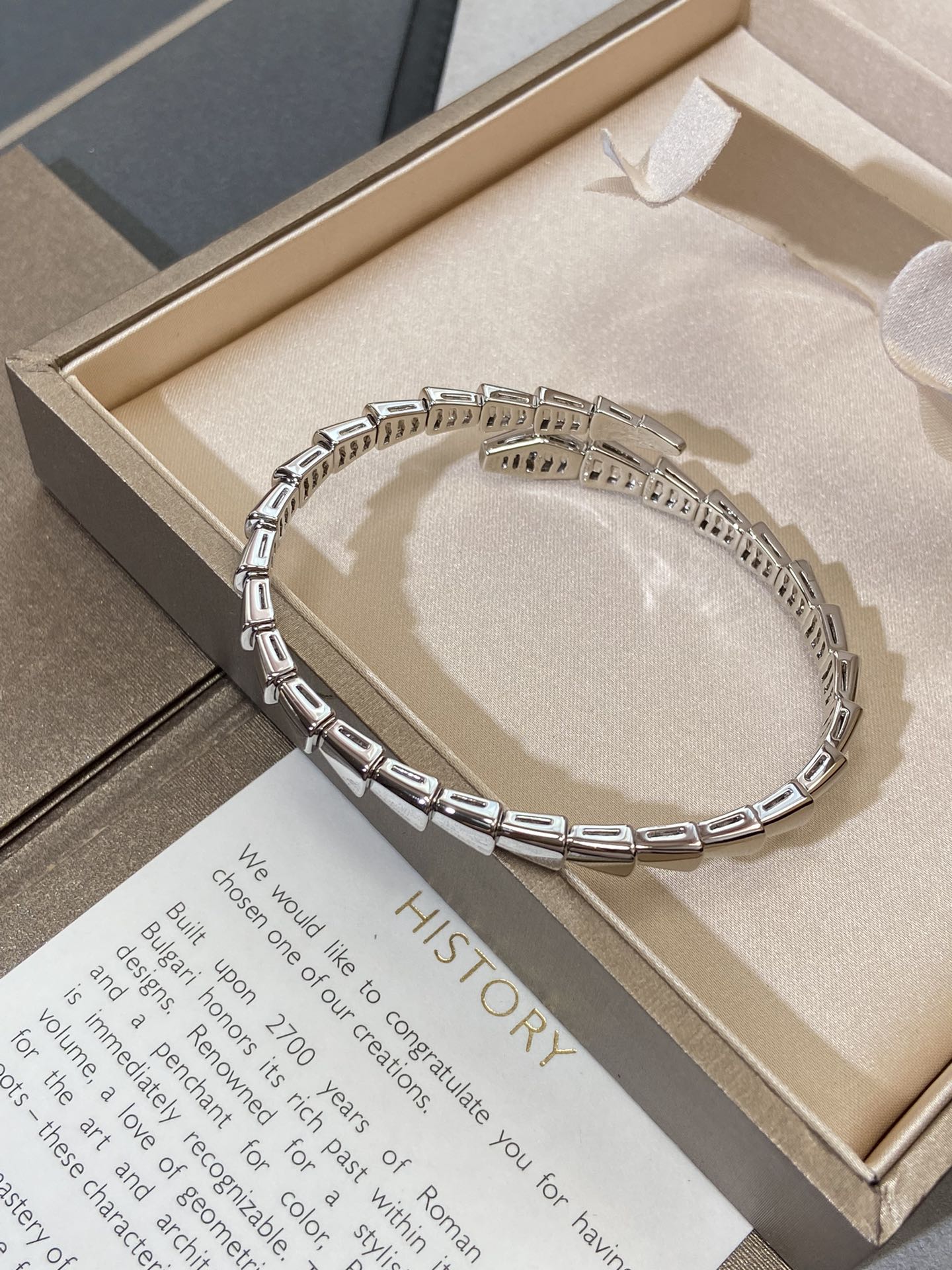 [Violet JW]SERPENTI VIPER SILVER BRACELET