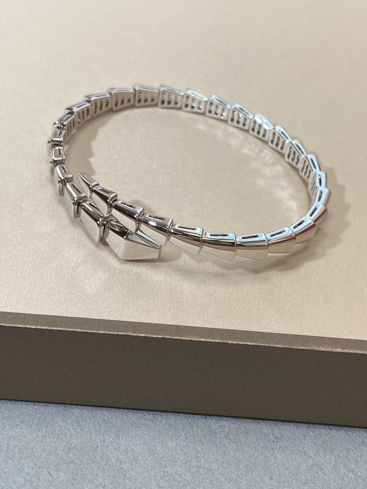 [Violet JW]SERPENTI VIPER SILVER BRACELET